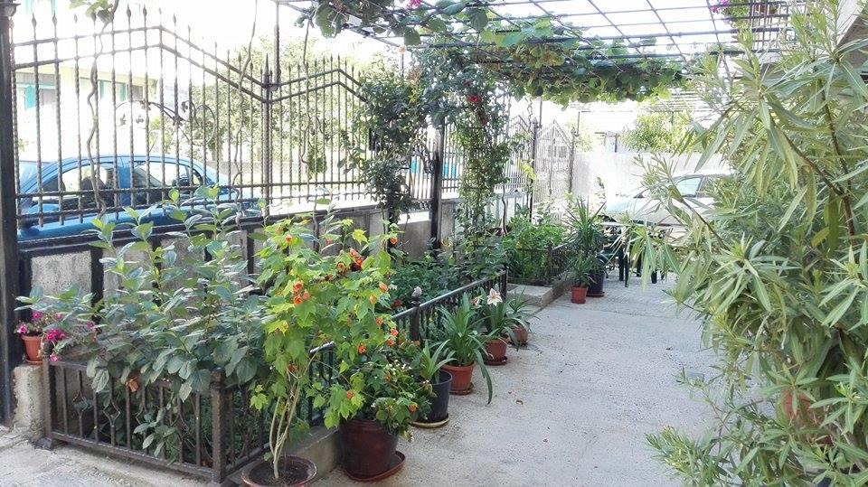 רבדה Dracena Guesthouse מראה חיצוני תמונה